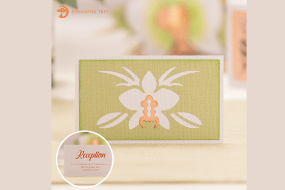 Download Orchid Information Card SVG - Card Collection